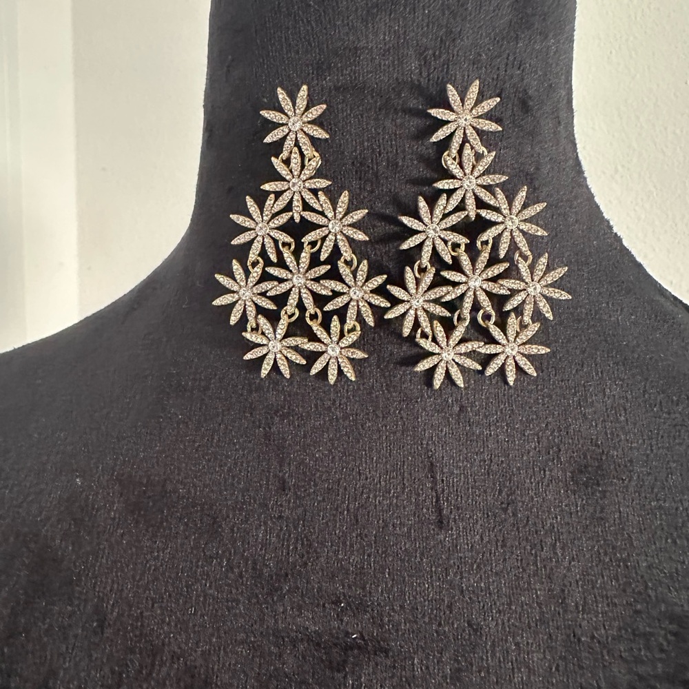 Beautiful Festive Earrings